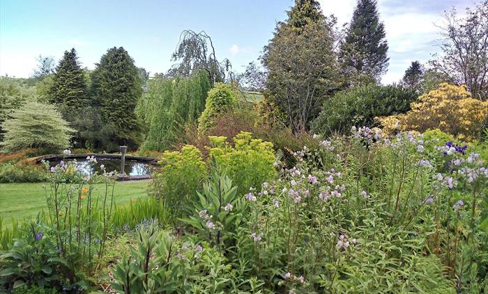 Cae Hir Gardens